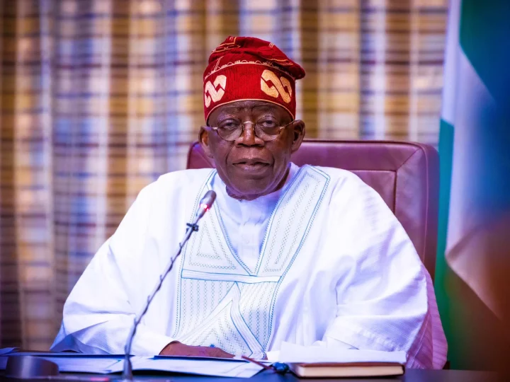 One Year Later: What Tinubu’s Cabinet Has Gotten Right—and Wrong