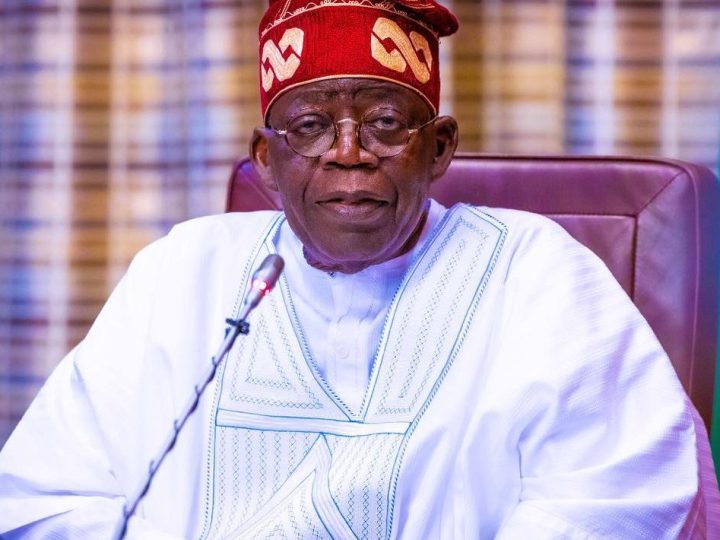 Tinubu’s Economic Gamble: Between Reform and Public Suffering